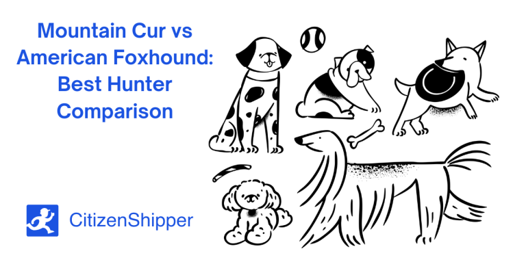 Illustrated mountain curs and American foxhounds encircle the text "Mountain Cur vs American Foxhound: Best Hunter Comparison" alongside the CitizenShipper logo.