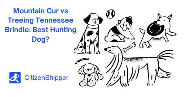 Illustration showcasing the fierce competition between dog breeds: "Mountain Cur vs Treeing Tennessee Brindle: The Ultimate Hunting Dog Showdown?" Features the CitizenShipper logo.
