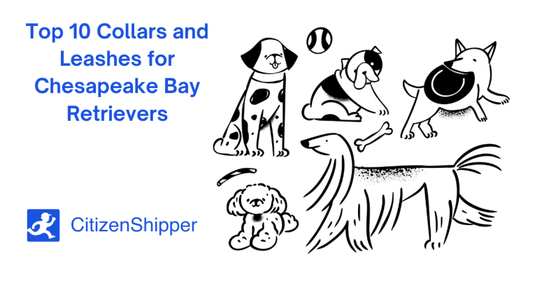 Illustration of five whimsical cartoon dogs next to text: "Top 10 Collars and Leashes for Chesapeake Bay Retrievers." Dive into this curated list to find the perfect fit for your Chesapeake Bay companion, ensuring style and comfort on every adventure.