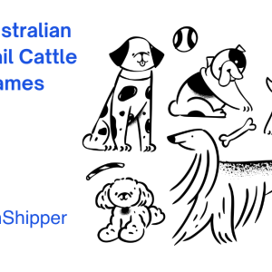 Illustration of five Australian Stumpy Tail dogs with toys and bones. Text reads, "Top 12 Australian Stumpy Tail Cattle Dog Names" and "CitizenShipper.
