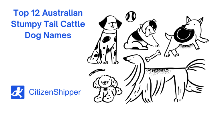 Illustration of five Australian Stumpy Tail dogs with toys and bones. Text reads, "Top 12 Australian Stumpy Tail Cattle Dog Names" and "CitizenShipper.