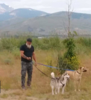 A man with a white beard, wearing a black shirt and camouflage pants, stands outdoors holding leashes of two dogs—one husky and one tan dog—ready for his transporter interview against grassy fields, hills, and mountains.