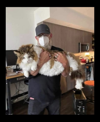 A person wearing a mask and cap holds a very large, fluffy cat in their arms, as if preparing for a transporter interview inside a modern kitchen or office space.
